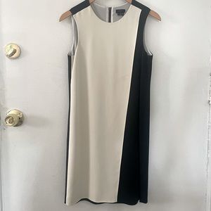 Gorgeous Theory two-toned Mini Dress